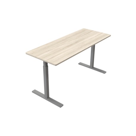 Escritorio básico 120 Automático Sit & Stand