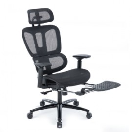 Silla Ejecutiva S18