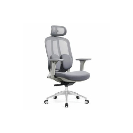 Silla Ejecutiva Organic Mesh Y Tela Gris