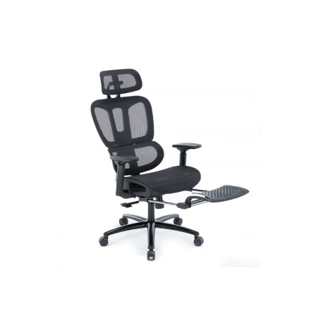 Silla Ejecutiva S18